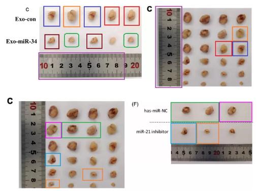 南昌大学第二附属医院，沧州中心医院等单位发表的sci论文遭质疑
