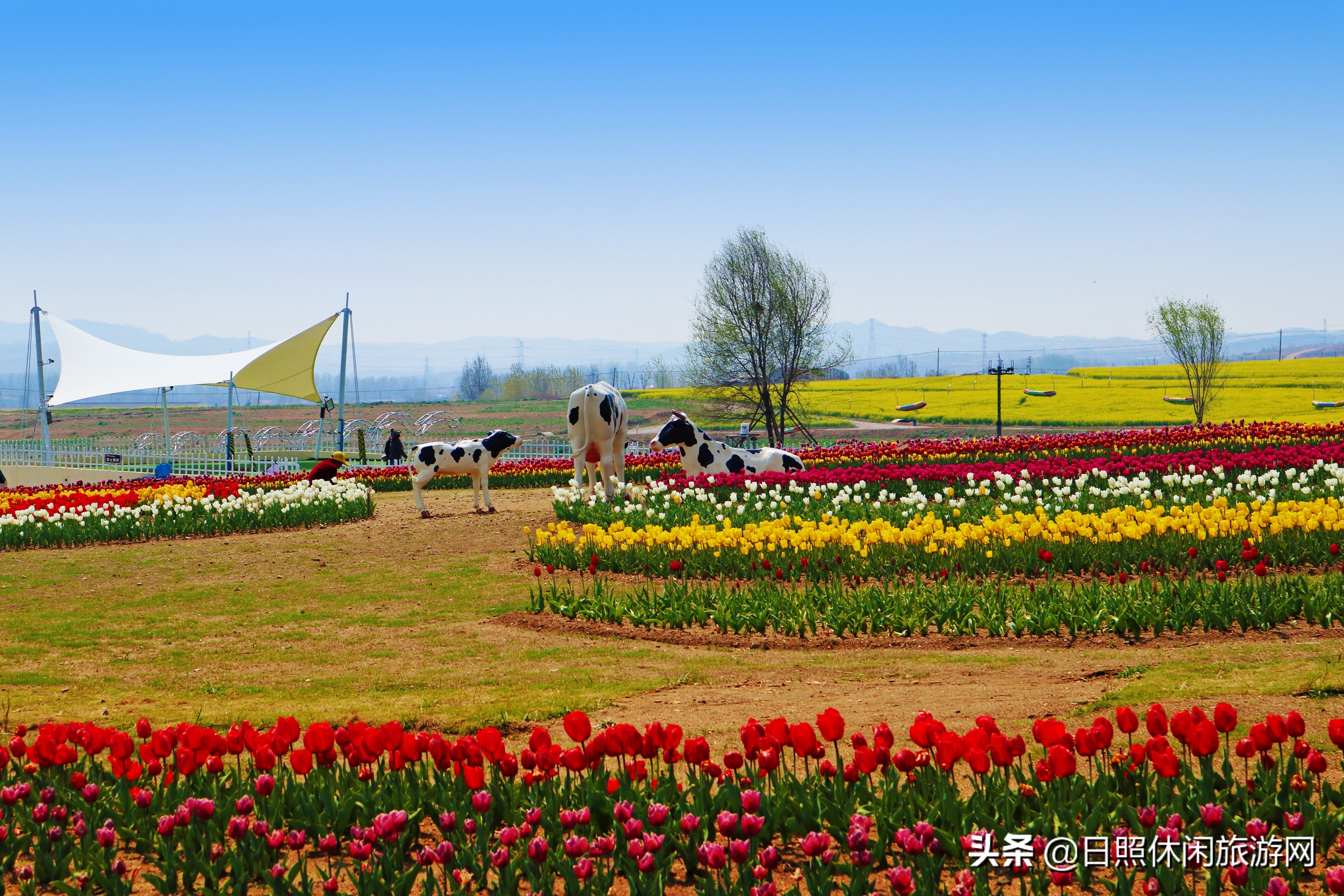 山东日照旅游4-5天详细攻略,去日照旅游应该住在哪里方便游玩