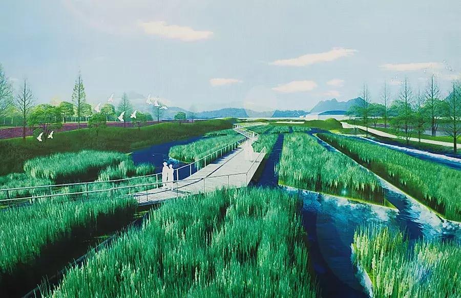 杭州西湖足球场,杭州富阳免费足球场