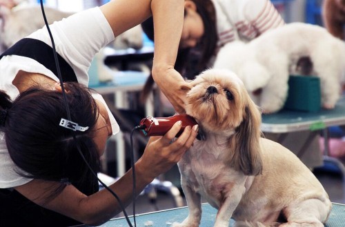 适合没经验女性创业开的店有哪些,适合女性创业开的十六种店投资