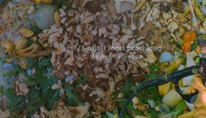 食物浪费高达2000亿，全球饥饿人口达7亿，这组数据让袁隆平痛心