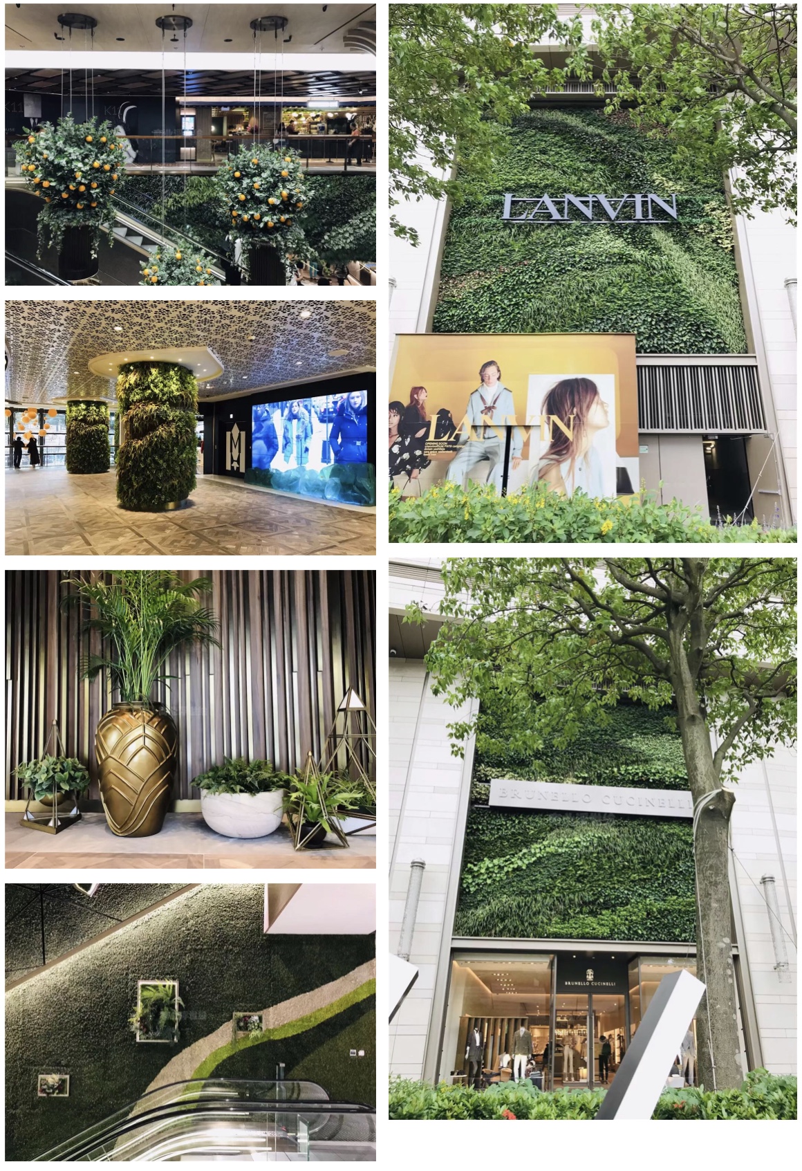 k11香港购物中心图片,香港新世界k11购物中心