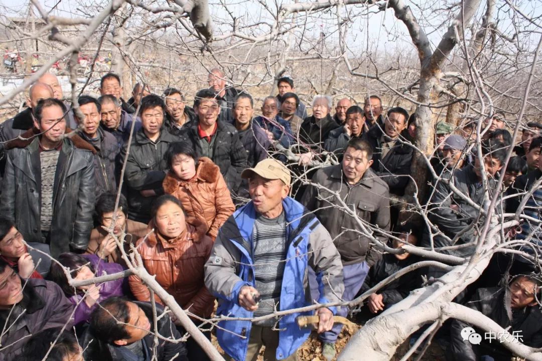 何巨才果园管理,何巨才作品