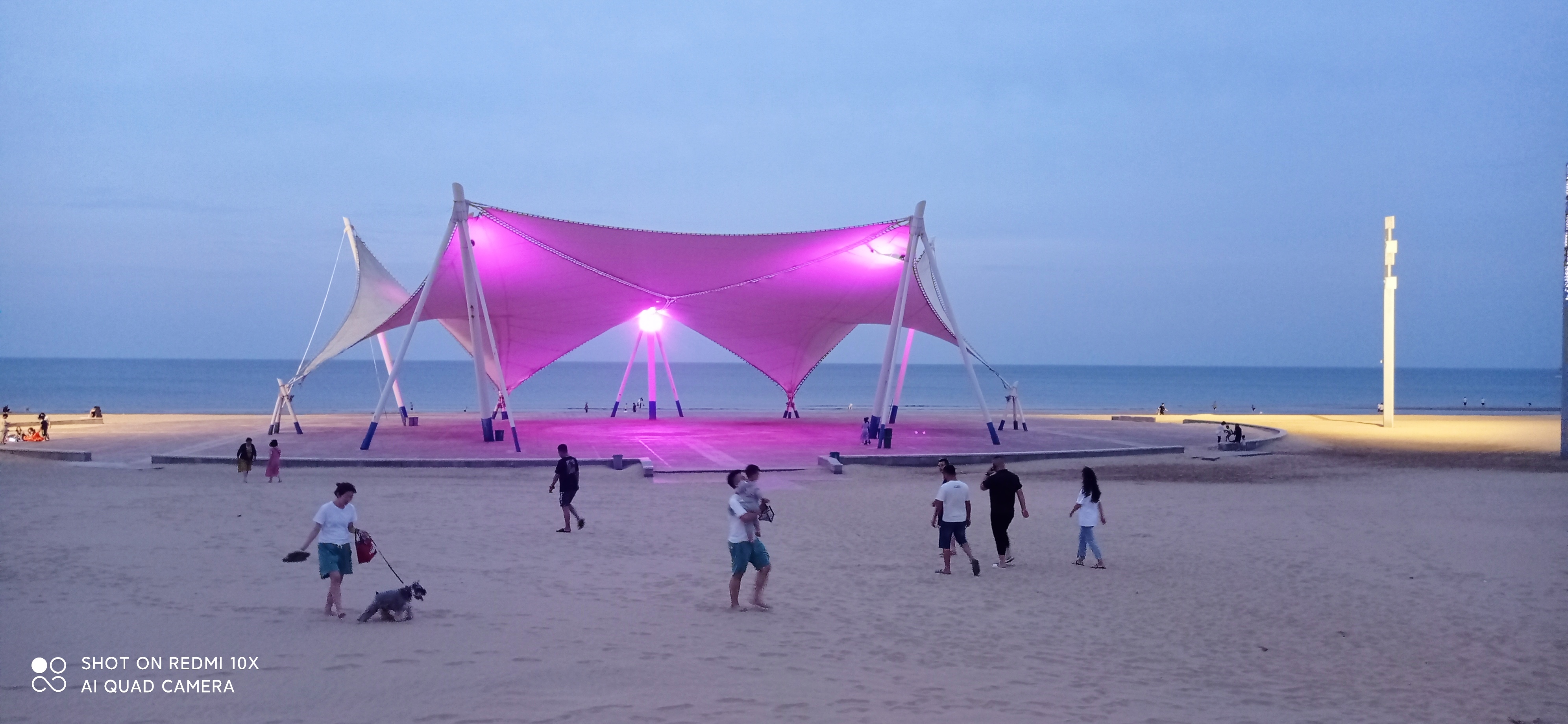 战友美文30首,王琪战友评价