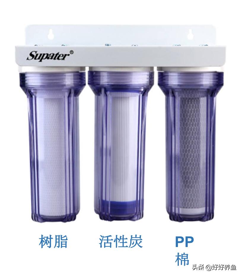 鱼缸换水注意事项养鱼老道,鱼缸养鱼换水的重要性