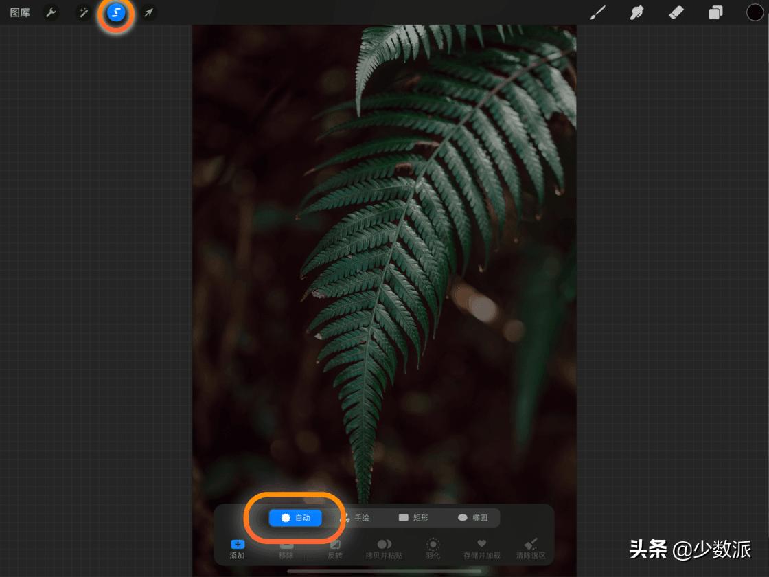 零基础也可以学平面设计,零基础免费学ipad插画