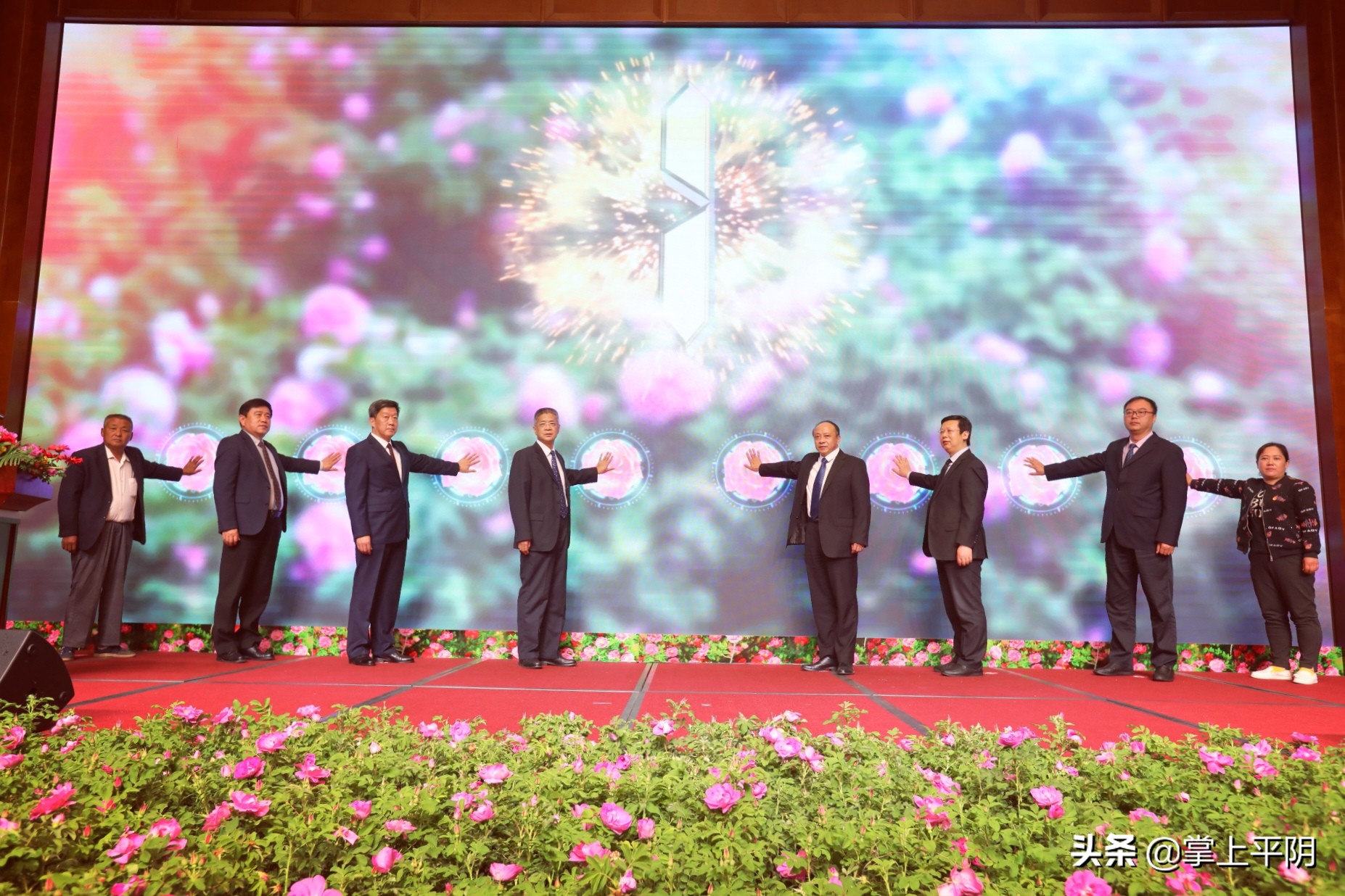 平阴玫瑰文化节,今年平阴玫瑰节几号开幕