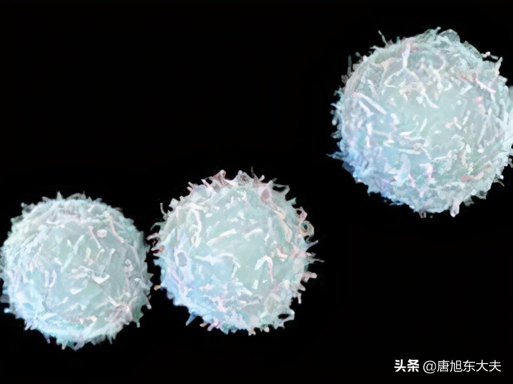 白细胞低打什么针升白细胞,化疗了白细胞低如何快速升白细胞