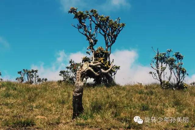 记录了在斯里兰卡美好的回忆,斯里兰卡之旅留下的美好回忆