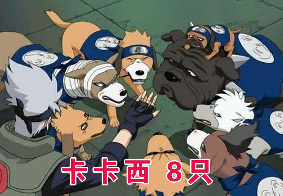 火影忍者通灵兽蛤蟆文太实战效果,火影当前版本通灵兽排名