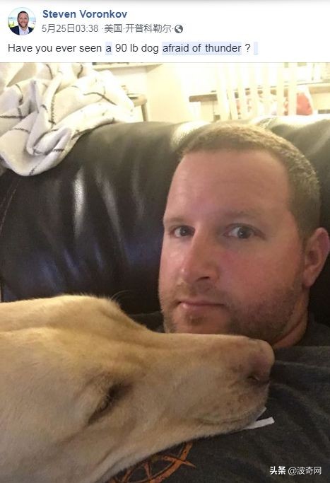 狗狗害怕主人怎样缓解,狗狗害怕主人还能恢复信任吗