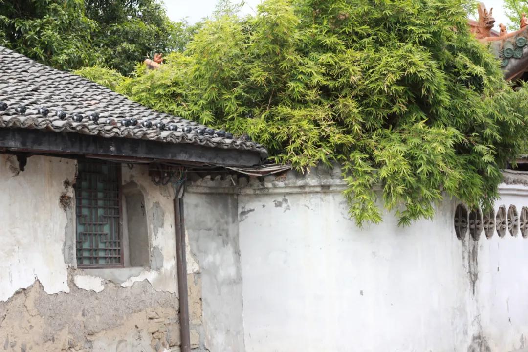 遇见阆中原声,遇见阆中的作品