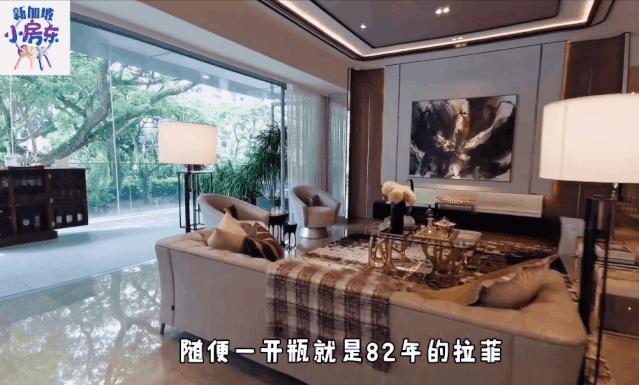 新加坡柏皓顶级豪宅户型图,新加坡乌节路豪宅铂瑞雅居