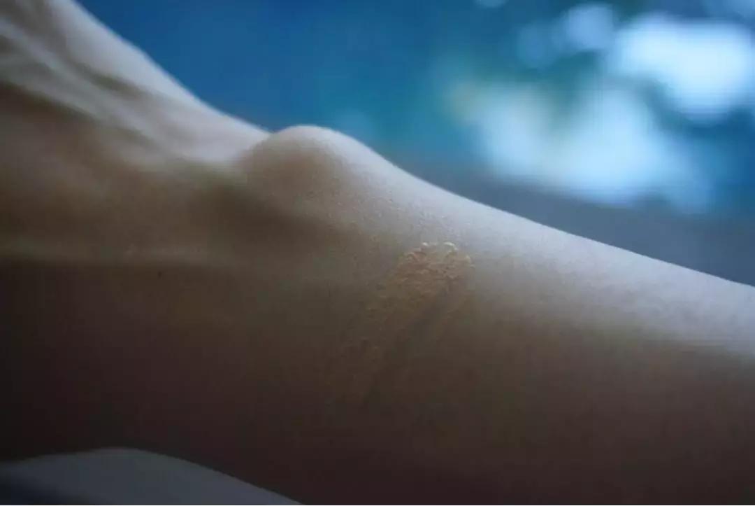 hera黑金气垫和粉底液,hera赫妍黑金气垫17号