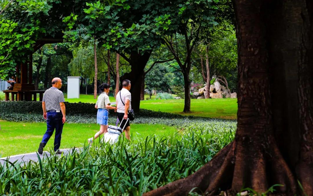 天府大道改造最新消息,为什么天府大道修到仁寿就变弯了