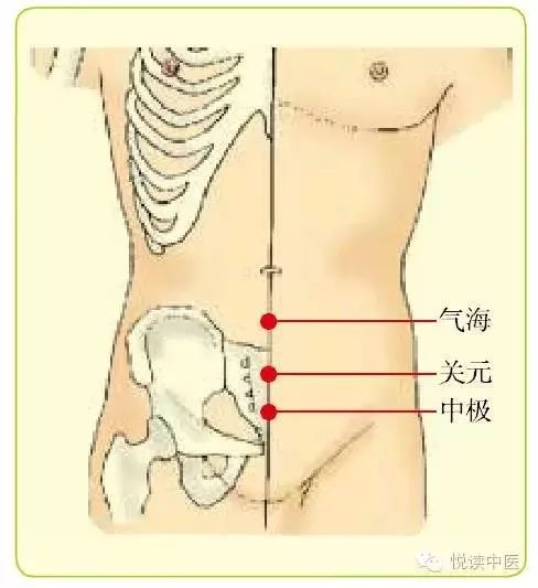男言之隐介绍,男言之隐小说后续