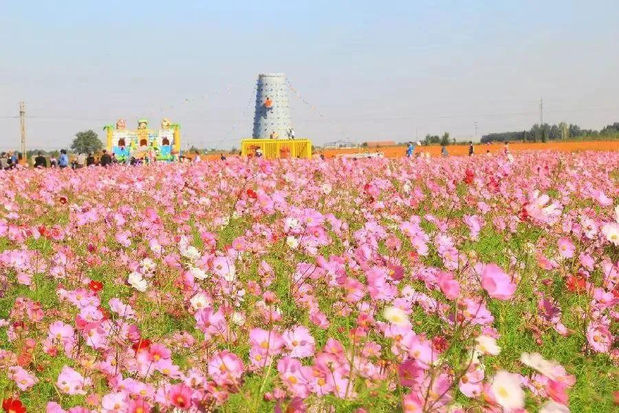 淄博免费领门票,淄博周边免票