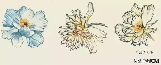 国画花卉大全教程视频,花卉小品国画图片大全