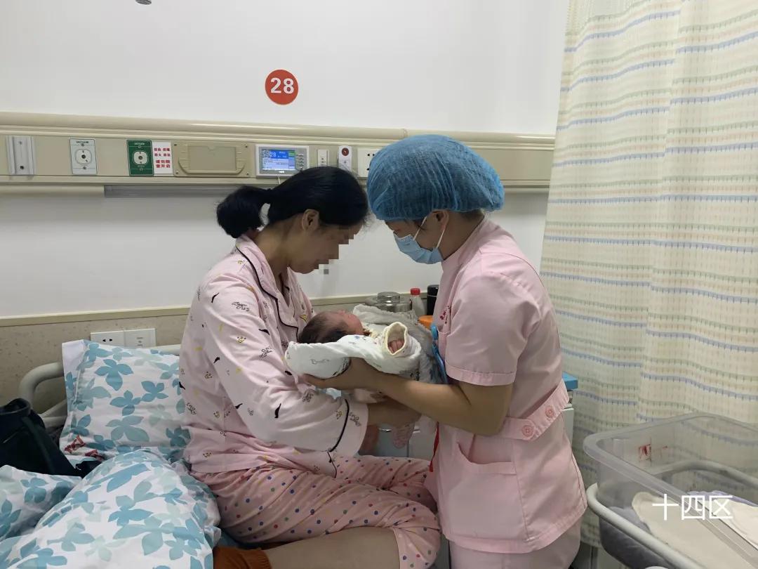 生命的坚守视频,生命的坚守