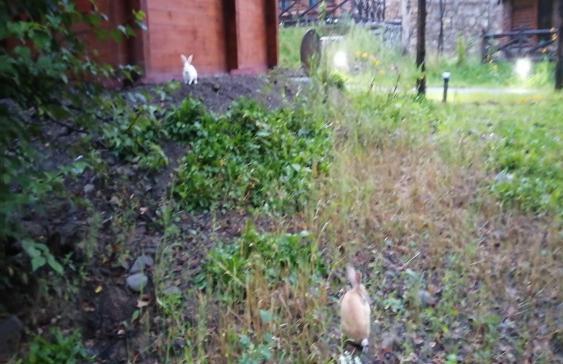 摄影欣赏大自然美景,长白山旅游之旅