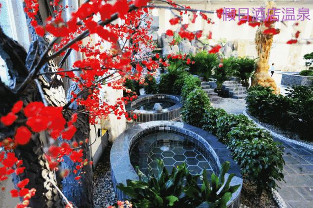 憋坏了吧,诸位!大午温泉在等你……