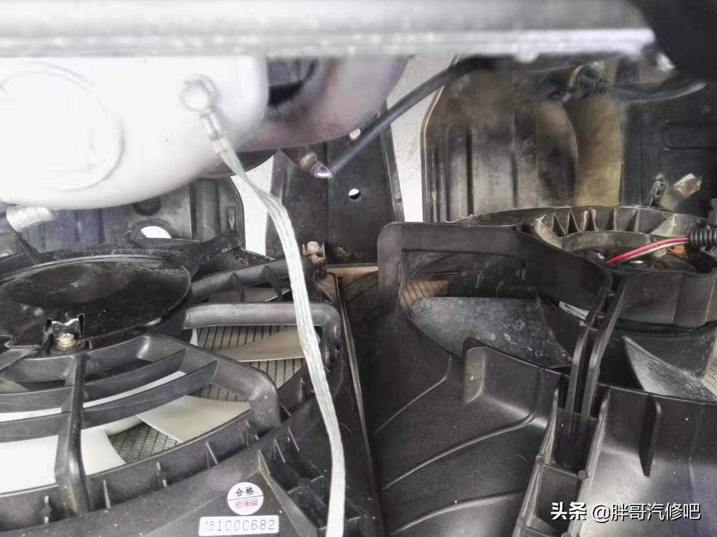 胖哥二手车最新视频,胖哥买二手车