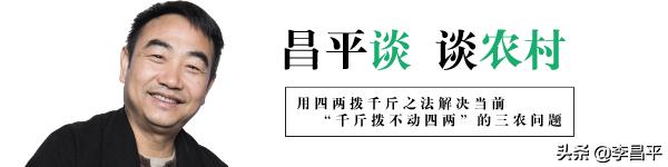罗家村股份经济合作社,灵宝市罗家河果品专业合作社