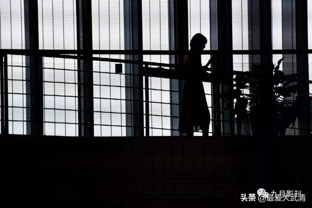 爱上武清从哪里开始,武清纪实