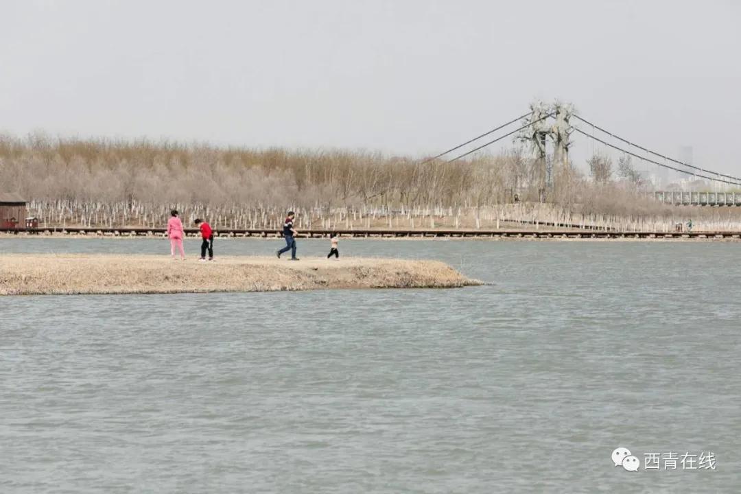 天津2022哪些公园恢复开放,天津水西公园现在恢复开放了吗