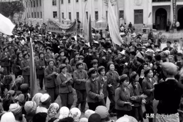 伟大的新疆,伟大的阿勒泰