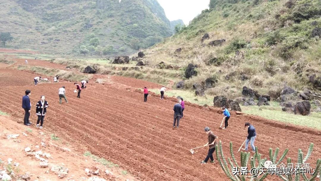 天等抢劫,天等抢钱案
