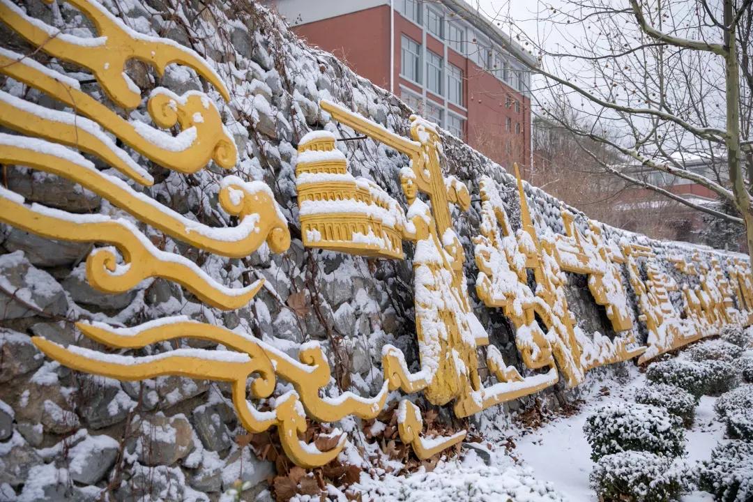 民办学校大连艺术学院全国排名,大连艺术学院辽宁排名