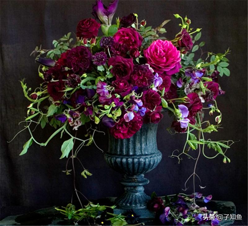 在爱情中特别冷淡的星座,在感情中摩羯男最怕什么