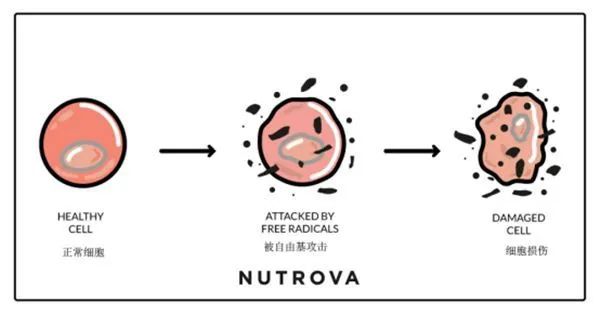 抗初老面膜平价推荐,抗初老补水面膜