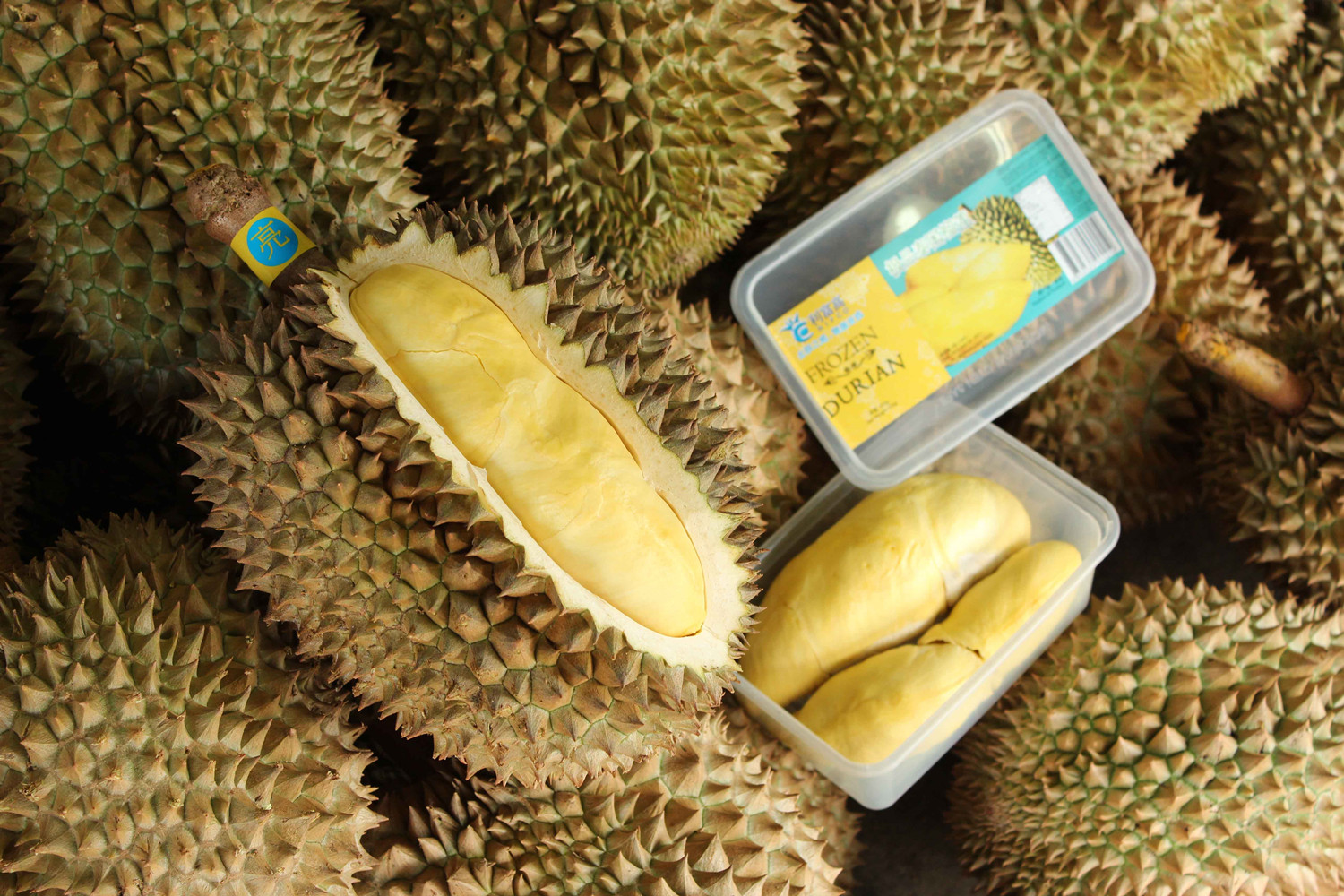 有裂口打开硬的榴莲是死包吗,有裂口的榴莲是不是生的