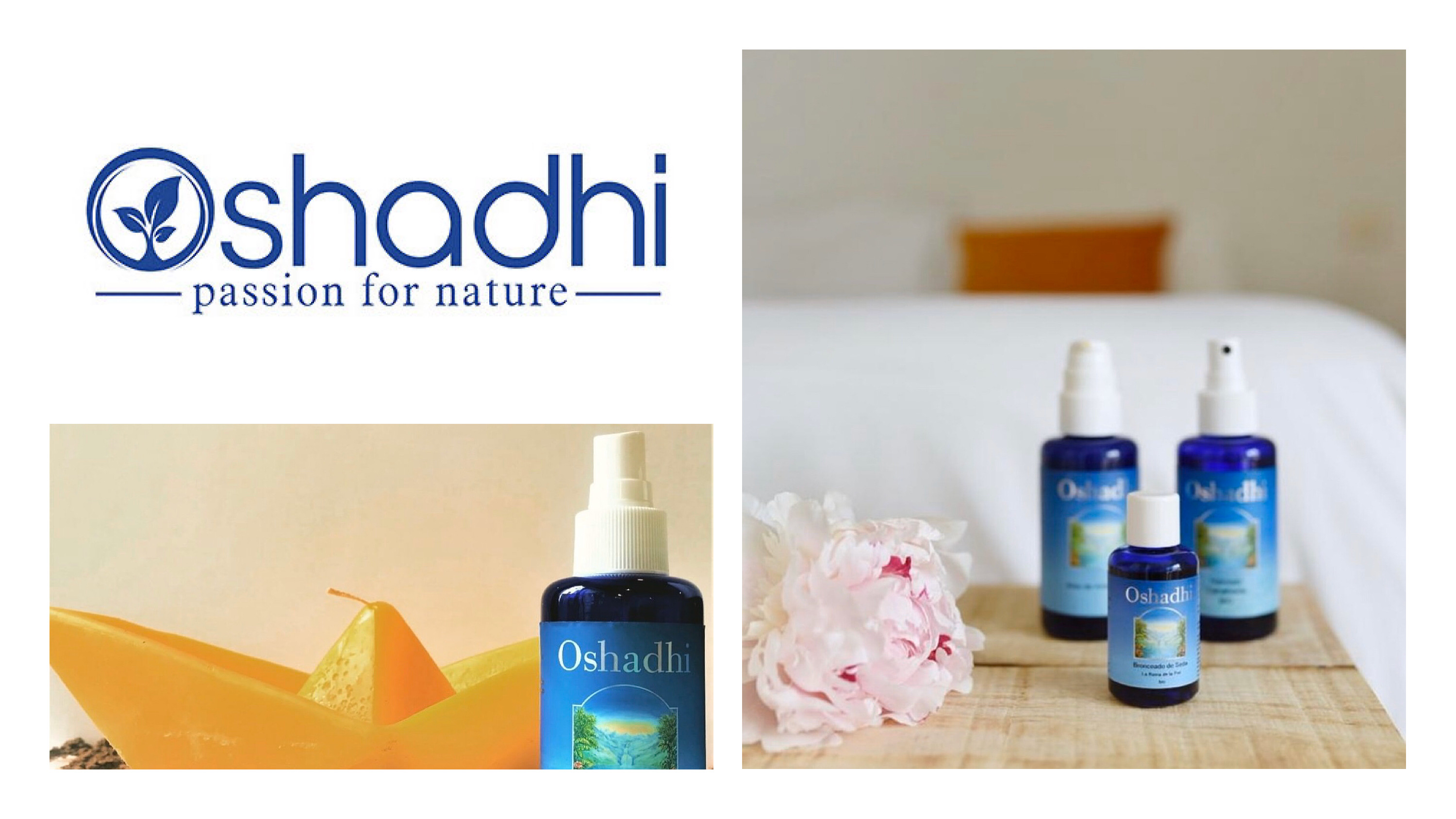 美妆良心店铺推荐,最全美妆淘宝店铺推荐