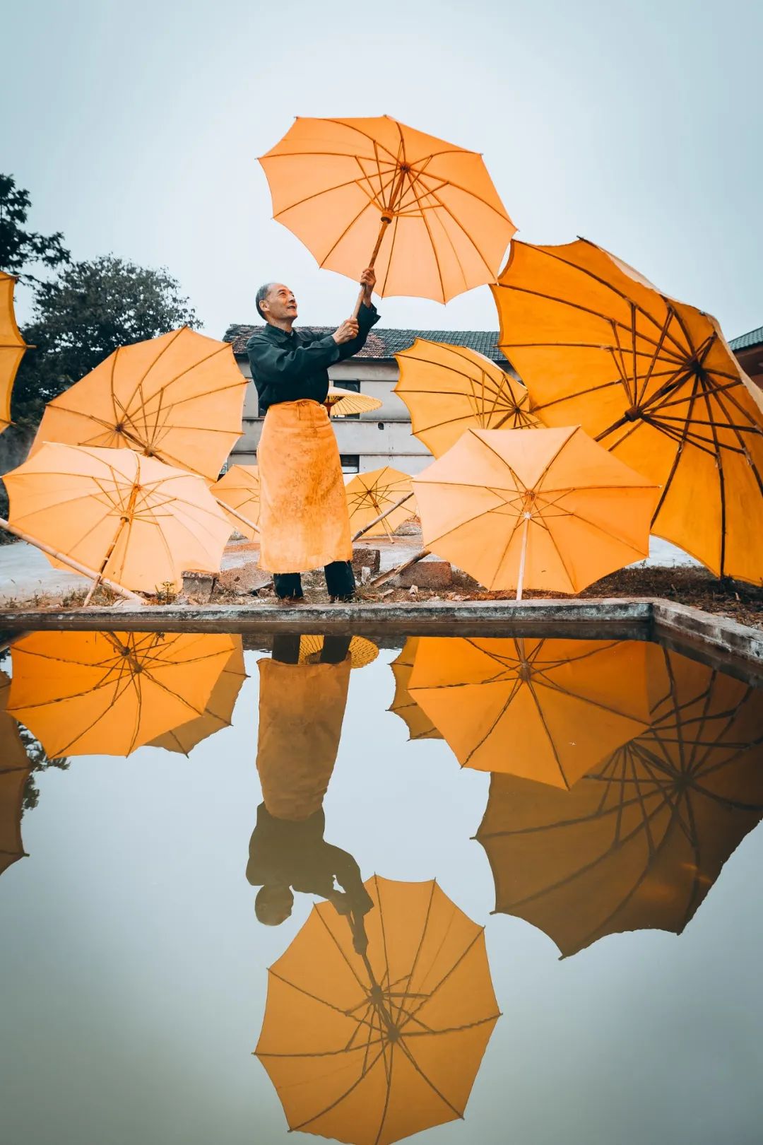 南方人不懂北方人天天吃面,南方人的锅贴北方人不懂