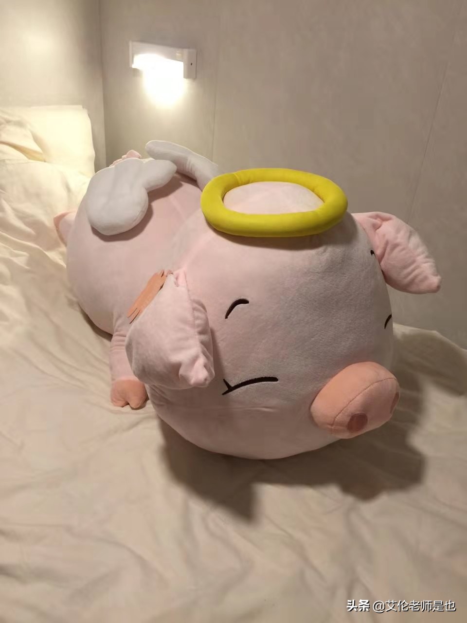 邮轮海乘免税店工作,邮轮免税店待遇怎么样