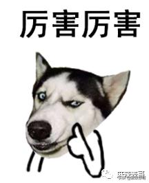 萧亚轩16年换17个男友的秘诀,40岁萧亚轩谈了几个男朋友