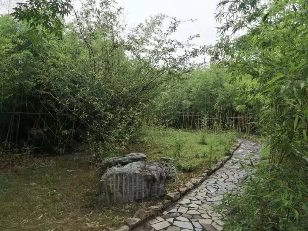 很多时候不知道你有多大能力,如果你有超能力你想要什么能力