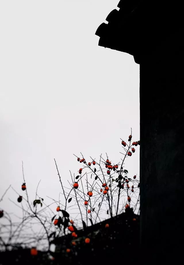 广东的秋天摄影,如何拍秋天风景照片