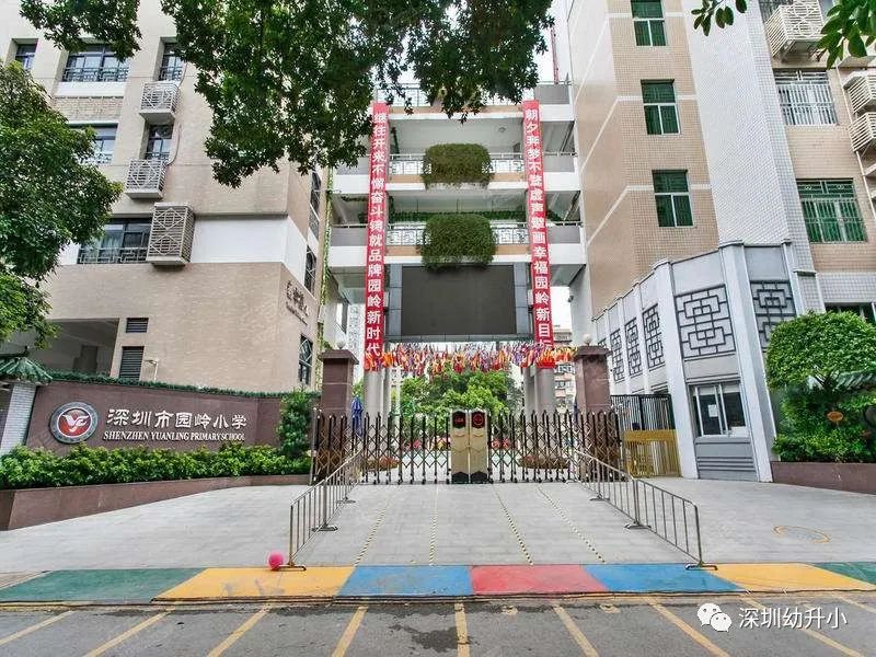 深圳好的双语小学,深圳2023优质小学校排名