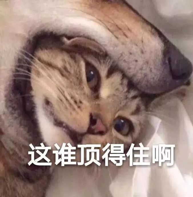 口腔医生的心酸历程,口腔医生眼里的光