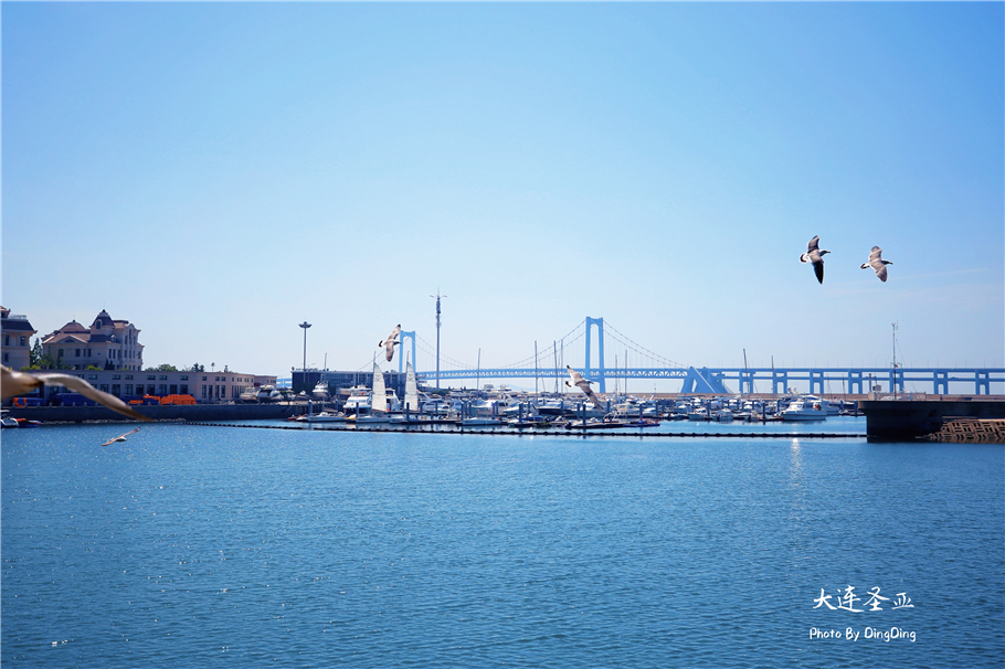 大连青山蓝天,大连是浪漫之都时尚之城