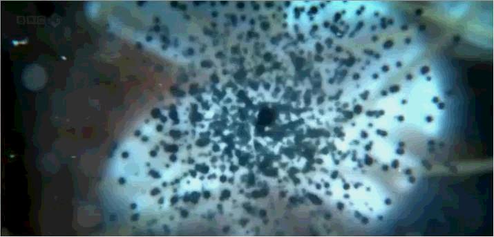 脚上长了跖疣能自愈吗,跖疣冷冻后变刺瘊