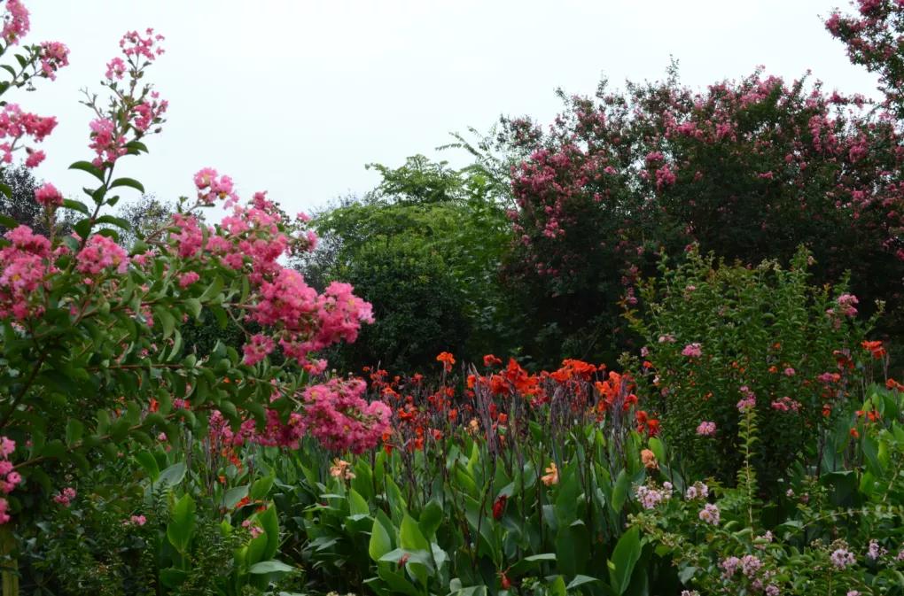 西安公园24小时开放,西安免费儿童玩的公园