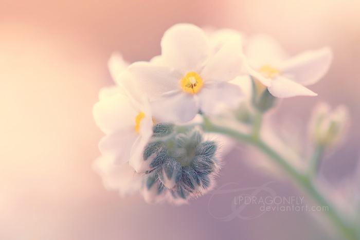 当一个人回首往事时不因虚度而悔,当回忆往事时不因虚度年华而悔恨