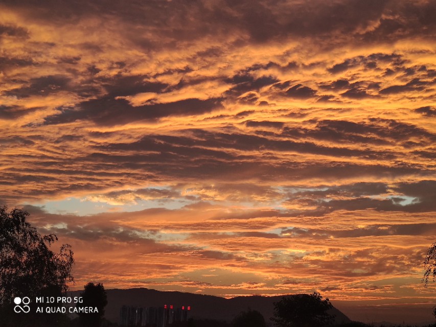 被绿了怎么办复合,被绿了怎么办小学生
