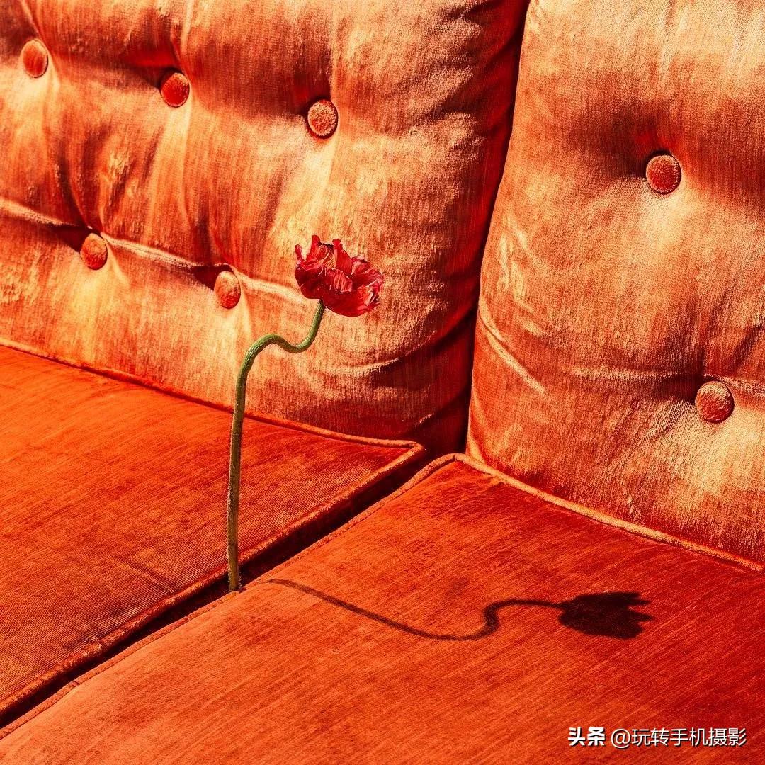 宅宅的风格拍照,绝美宅家拍照教程秒get氛围感照片