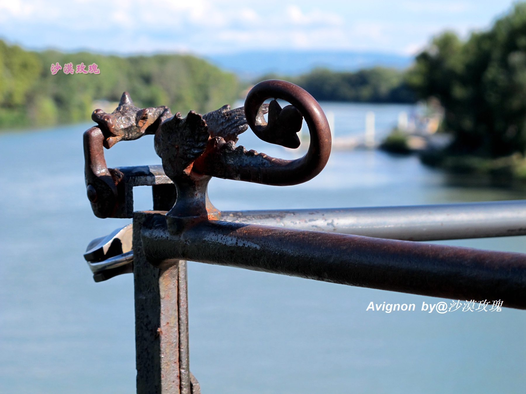 普罗旺斯有浪漫的薰衣草,普罗旺斯未开的熏衣草